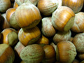 Hazelnuts