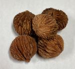 BOELLNER BLACK WALNUT (Juglans nigra)
