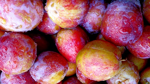FLAVOR GRENADE PLUOT (Prunus domestica x armeniaca)