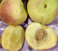 SALISH SUMMER (Q-1-8) WHITE PEACH (Amygdalus persica)