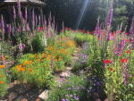 Mini-Farm Tour & Wine Tasting:    Sat, Aug 2, 2025  10am-12pm