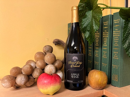 APPLE WINE