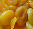 MONTROSE APRICOT (Armeniaca vulgaris)