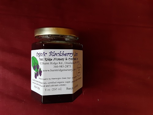 Blackberry Jam - certified organic