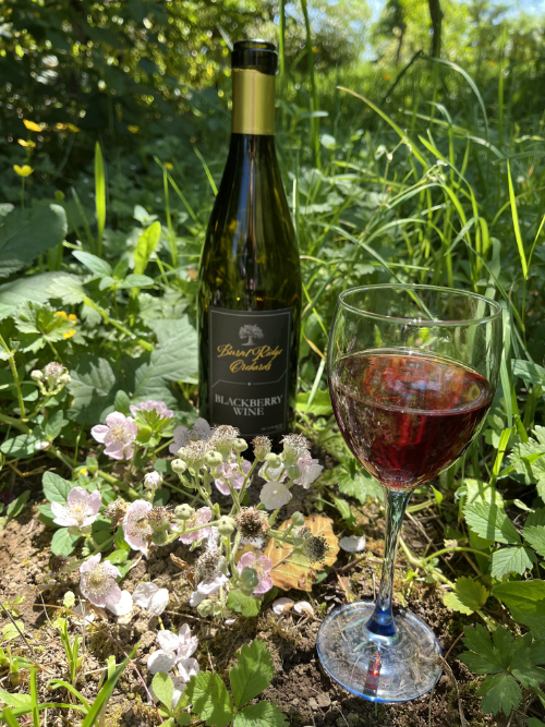 BLACKBERRY WINE