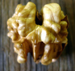 CHANDLER ENGLISH WALNUT (Juglans regia)