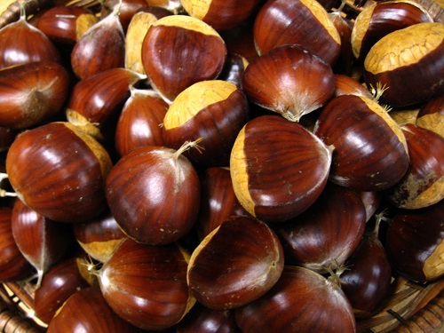 CHESTNUTS