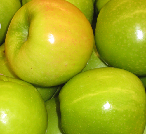GRANNY SMITH APPLE (Malus domestica)