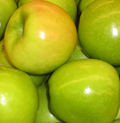 GRANNY SMITH APPLE (Malus domestica)