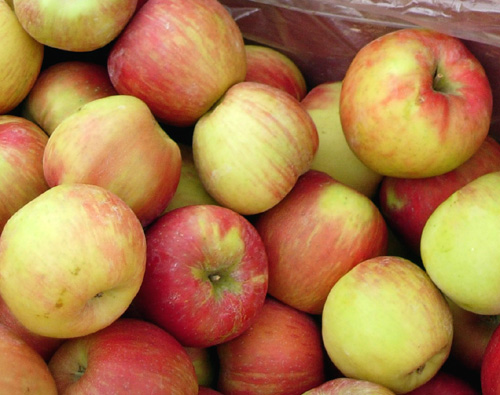 Buy Honeycrisp Apples Online