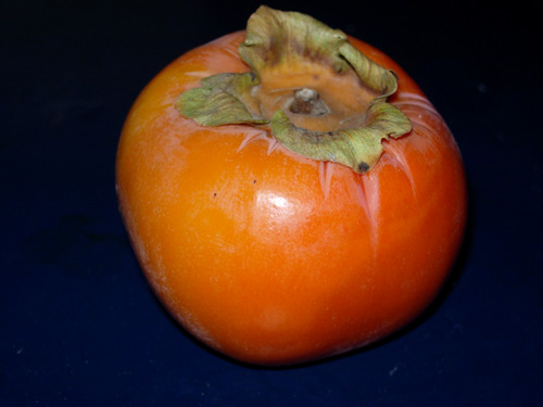 JIRO (FUYU) ASIAN PERSIMMON (Diospyros kaki)