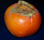 JIRO (FUYU) ASIAN PERSIMMON (Diospyros kaki)