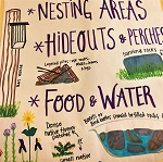 Kids Day - Gardening Tips for the Whole Family