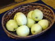 YELLOW TRANSPARENT APPLE (Malus domestica)