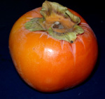 HANA FUYU ASIAN PERSIMMON (Diospyros kaki)