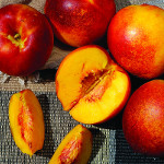 HARKO NECTARINE (Amygdalus persica)