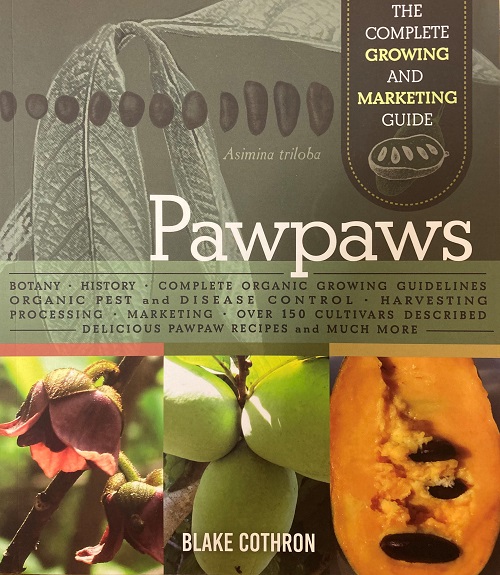 PAWPAWS by Blake Cothron