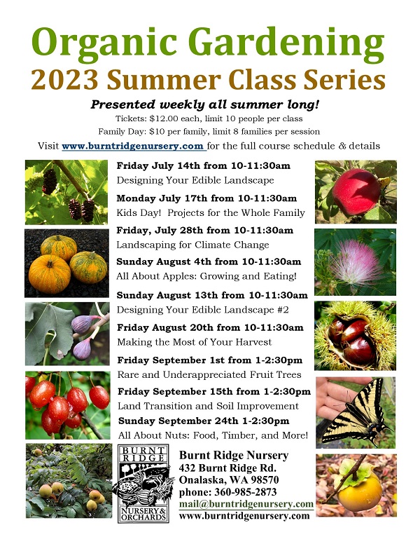 Rare and Under Appreciated Fruit Trees