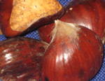 TSUKUBA CHESTNUT (Castanea crenata)