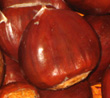 WHITTEN NORTH CHESTNUT (European x American)